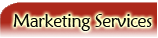 Marketing Services SEO