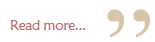 End Client SEO Testimonial Quote