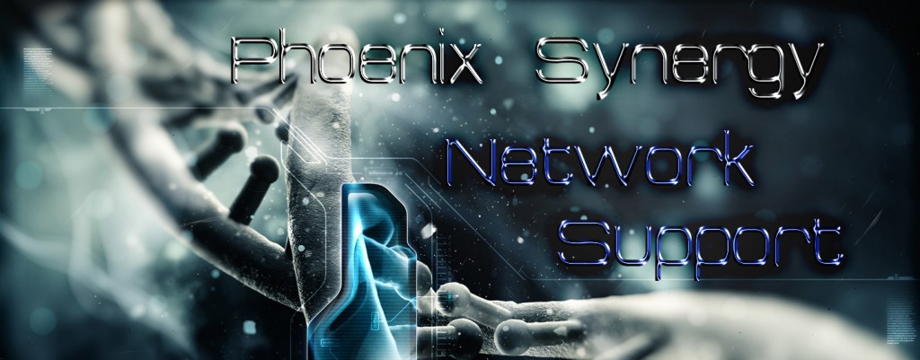 ps-network-support